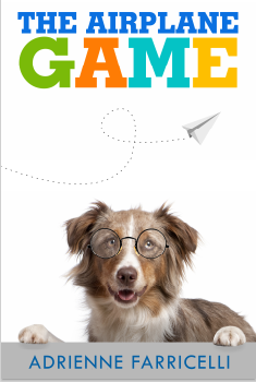airplane game book cover